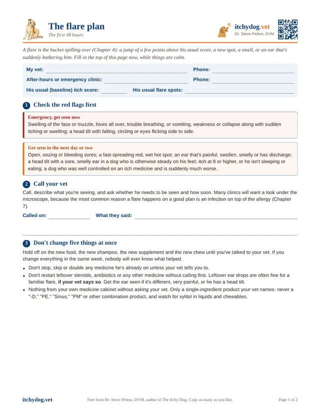 First page of The flare plan
